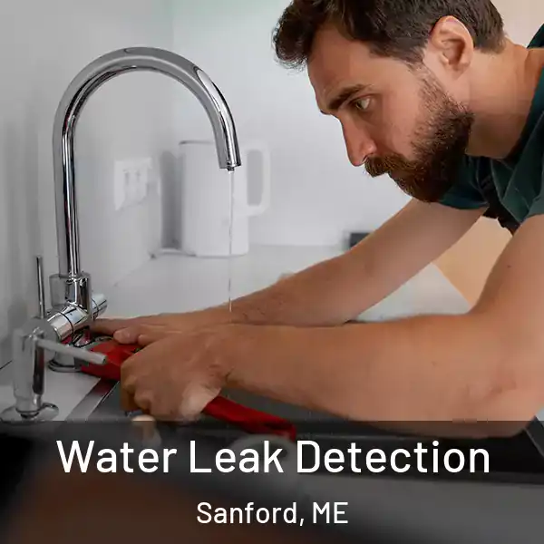 Water Leak Detection Sanford, ME